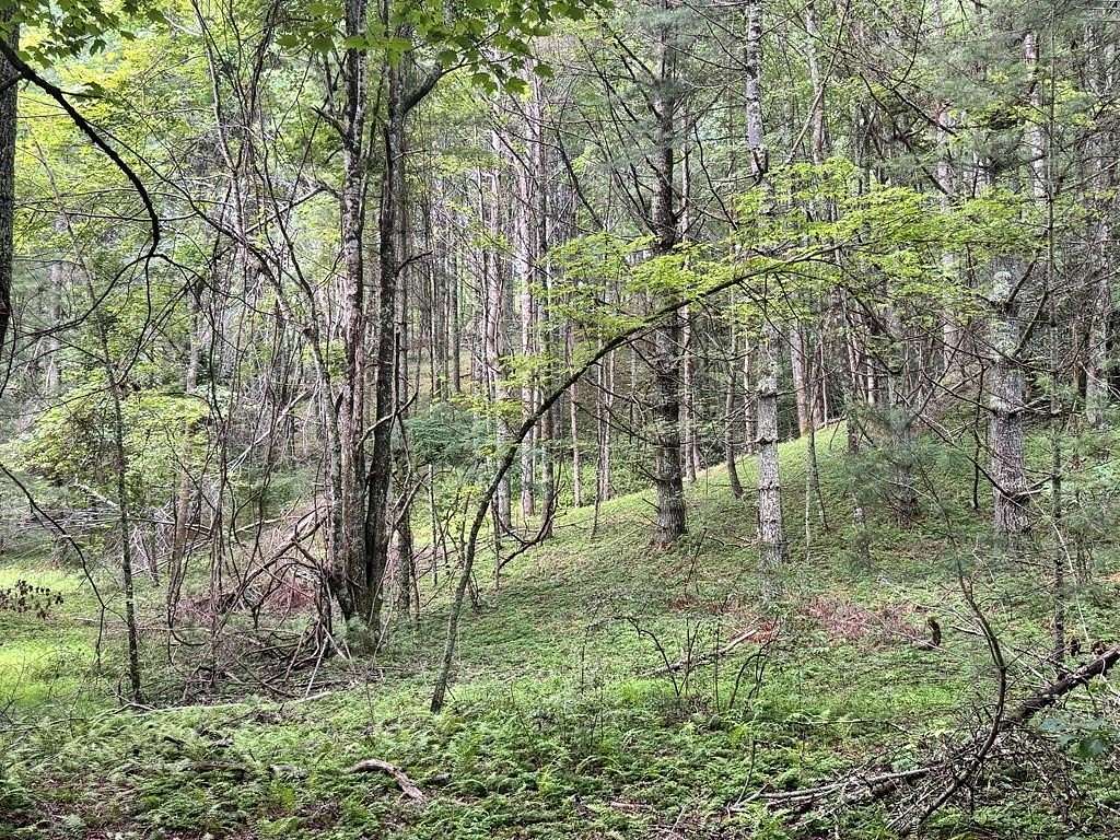 63 Acres of Recreational Land for Sale in Mouth of Wilson, Virginia