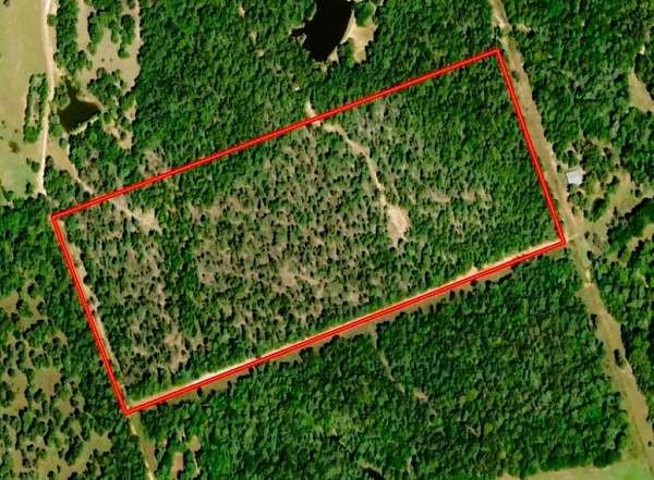 45.5 Acres of Recreational Land for Sale in Hearne, Texas