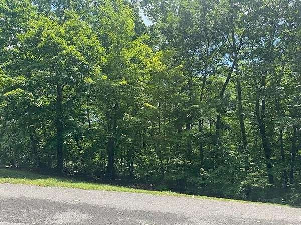 0.24 Acres of Residential Land for Sale in Rising Fawn, Georgia