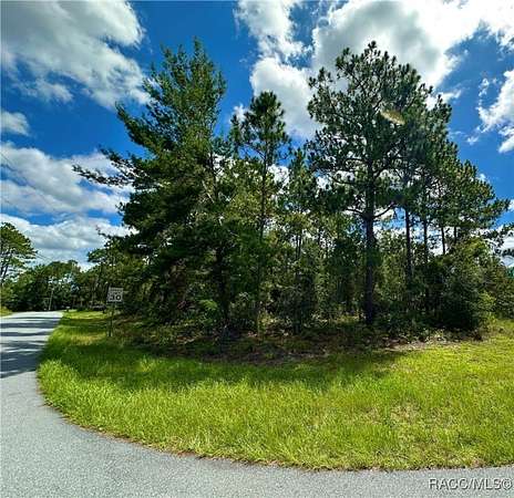 0.31 Acres of Residential Land for Sale in Citrus Springs, Florida