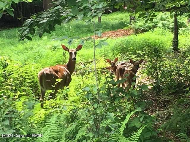 0.28 Acres of Residential Land for Sale in Albrightsville, Pennsylvania