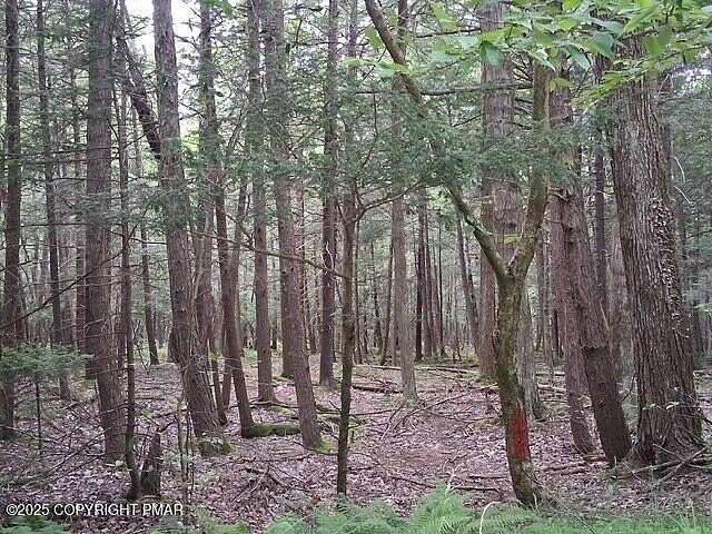 4.43 Acres of Land for Sale in Pocono Lake, Pennsylvania