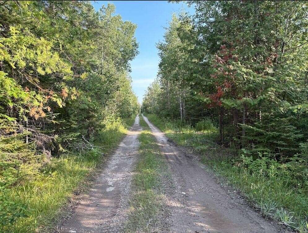 83.4 Acres of Recreational Land for Sale in Rogers City, Michigan