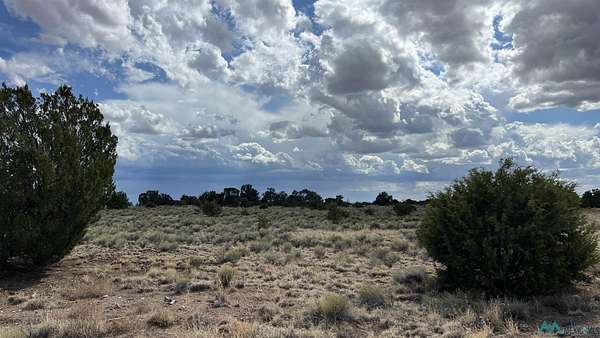 10.5 Acres of Land for Sale in Quemado, New Mexico