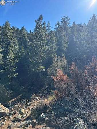 4.58 Acres of Land for Sale in Cotopaxi, Colorado