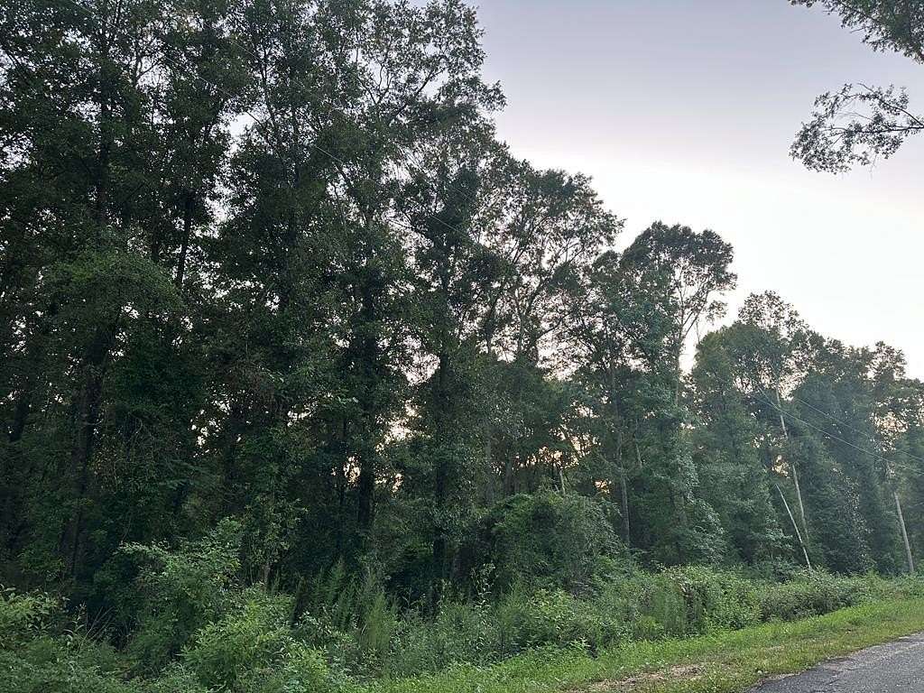 Residential Land for Sale in Seminary, Mississippi