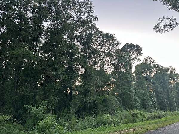 Residential Land for Sale in Seminary, Mississippi