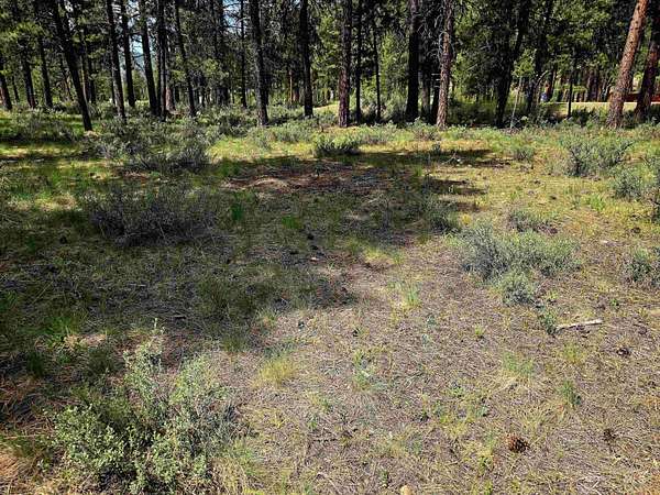 0.67 Acres of Land for Sale in Lowman, Idaho