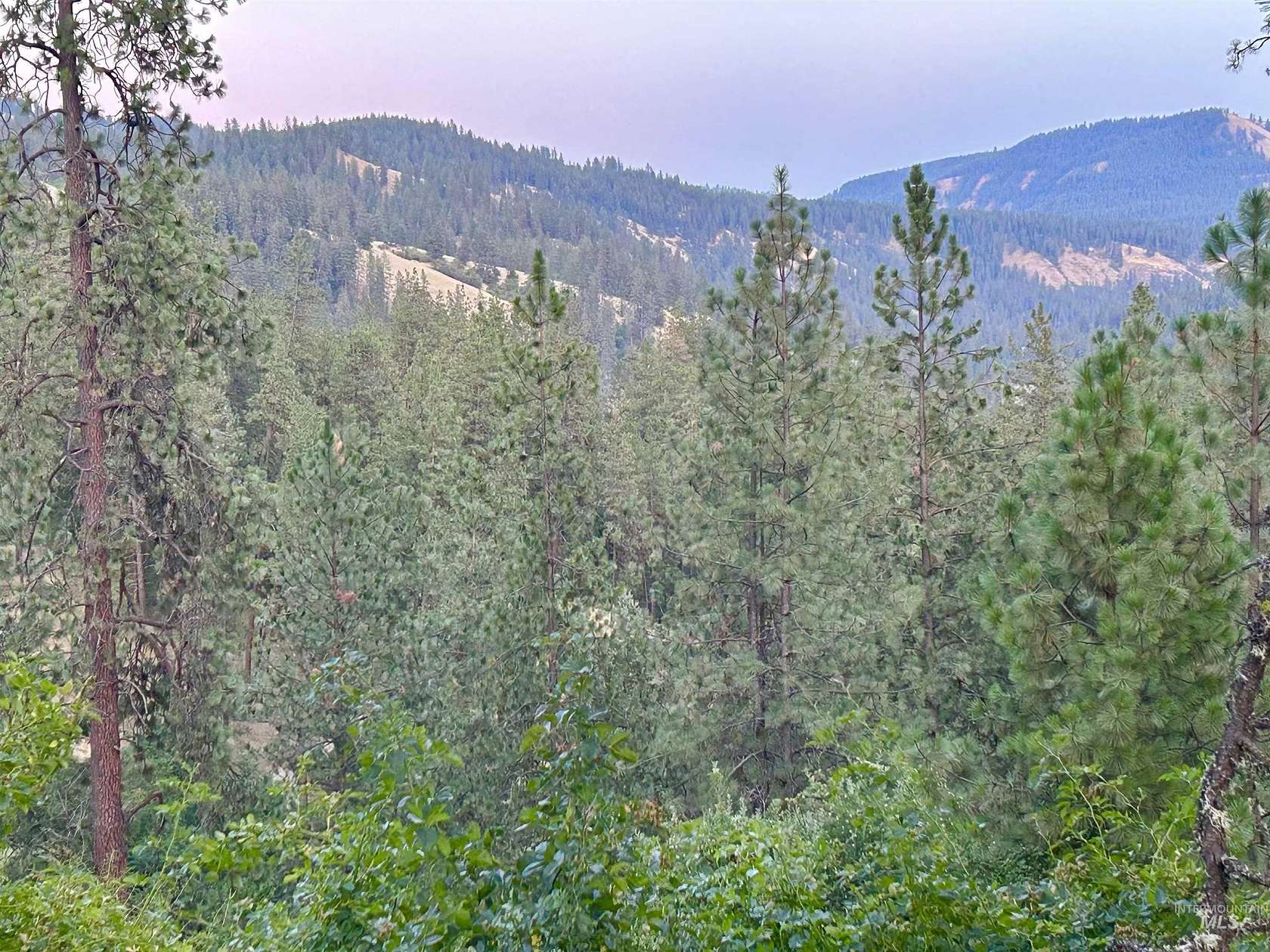 0.29 Acres of Land for Sale in Orofino, Idaho