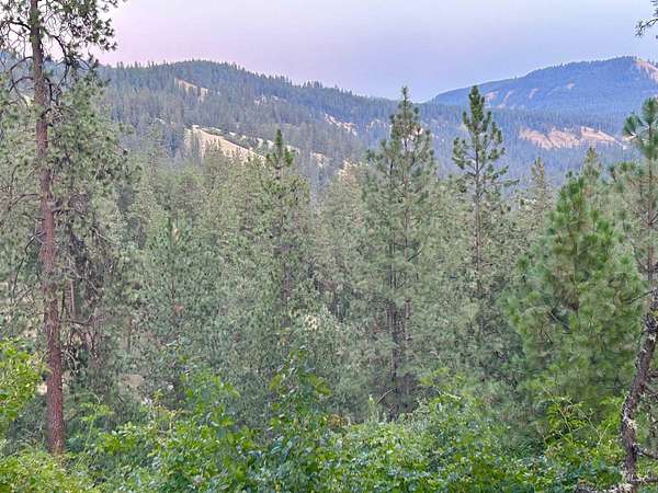 0.29 Acres of Land for Sale in Orofino, Idaho