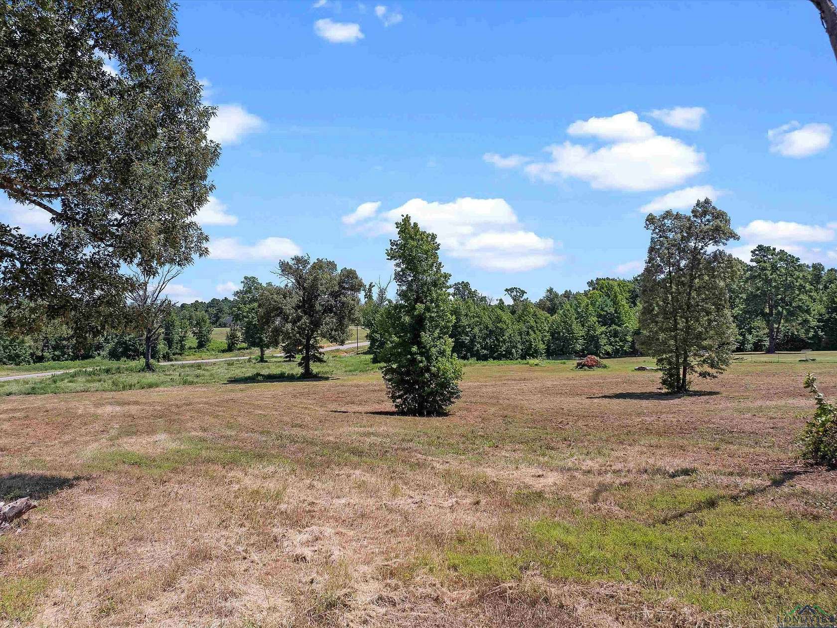 3 Acres of Residential Land for Sale in Winona, Texas