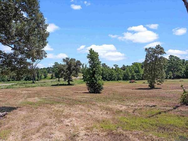 3 Acres of Residential Land for Sale in Winona, Texas