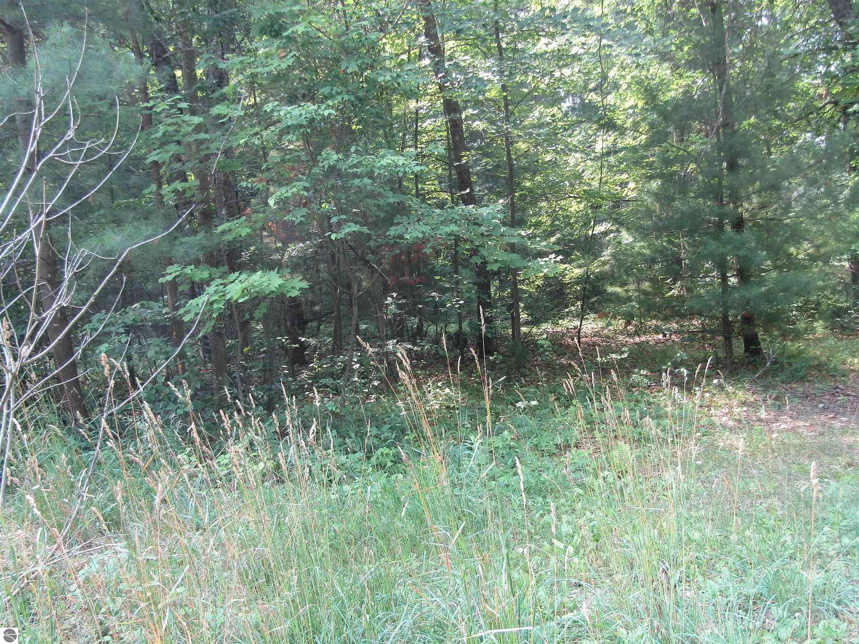0.28 Acres of Residential Land for Sale in Prescott, Michigan
