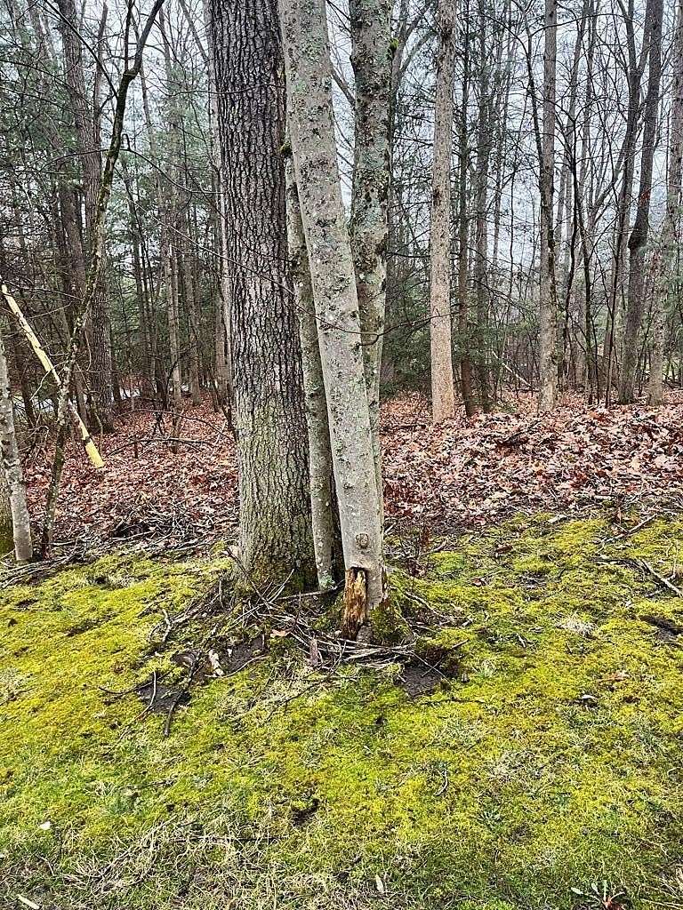 0.88 Acres of Residential Land for Sale in Beckley, West Virginia