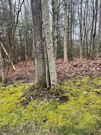 0.88 Acres of Residential Land for Sale in Beckley, West Virginia