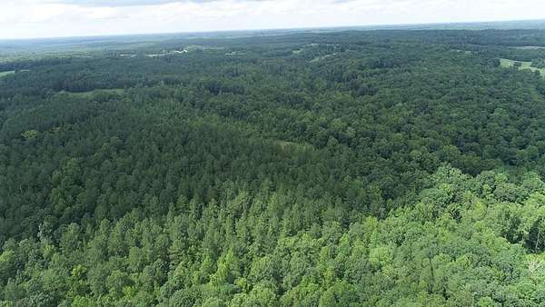 35.8 Acres of Recreational Land for Sale in Jetersville, Virginia