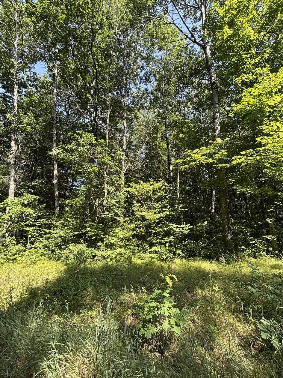 1 Acre of Residential Land for Sale in Hersey, Michigan