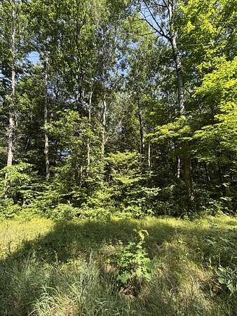 1 Acre of Residential Land for Sale in Hersey, Michigan