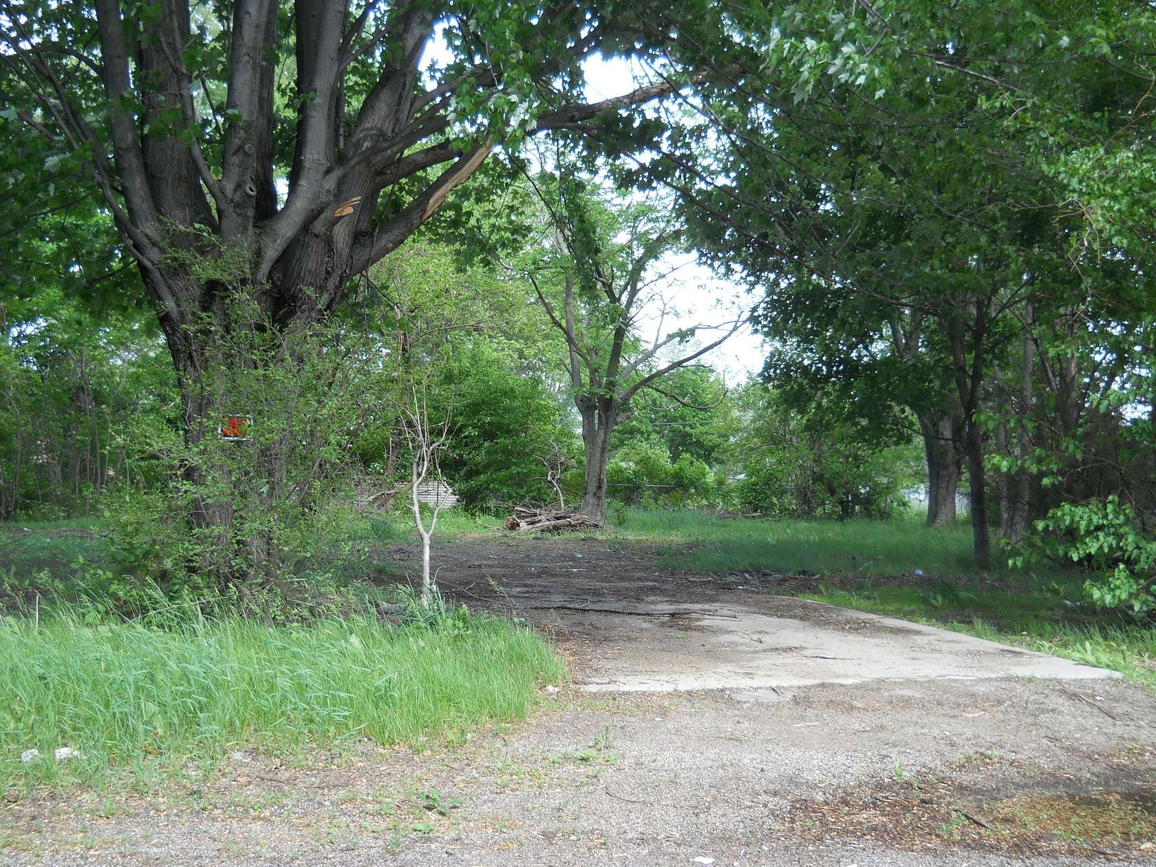 0.29 Acres of Land for Sale in Benton Harbor, Michigan