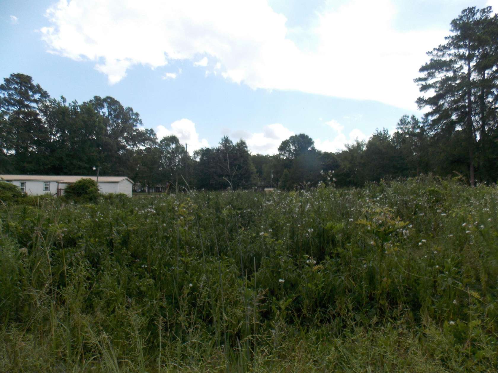 Land for Sale in Lincolnton, Georgia