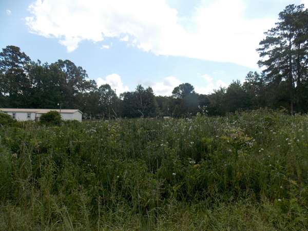 Land for Sale in Lincolnton, Georgia