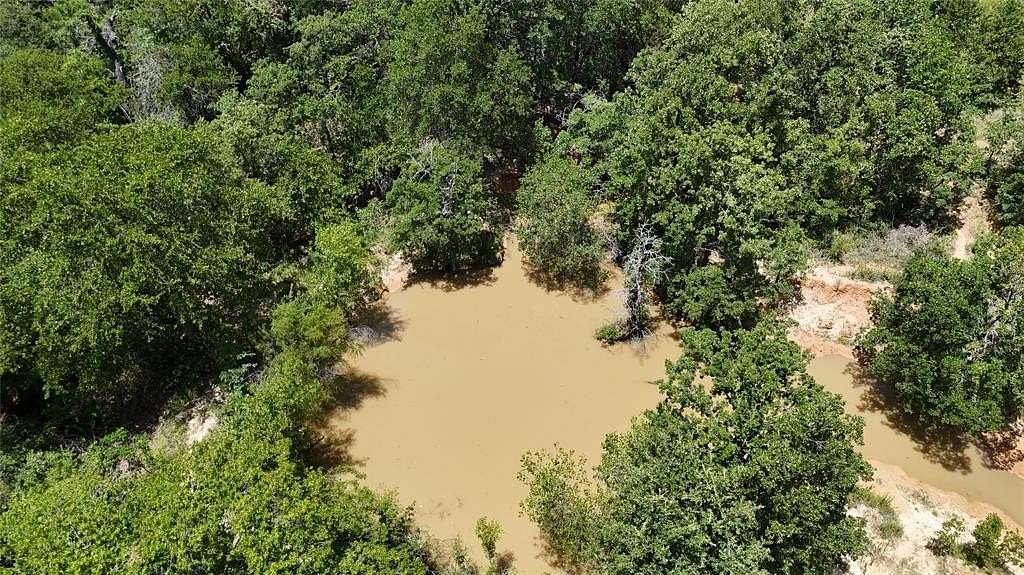 53 Acres of Recreational Land & Farm for Sale in Springtown, Texas