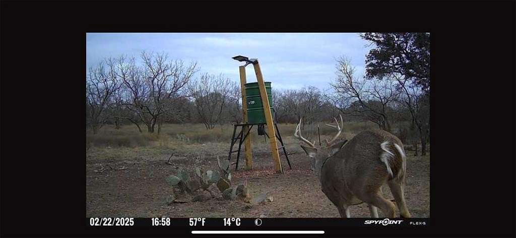 23.1 Acres of Recreational Land & Farm for Sale in Brady, Texas