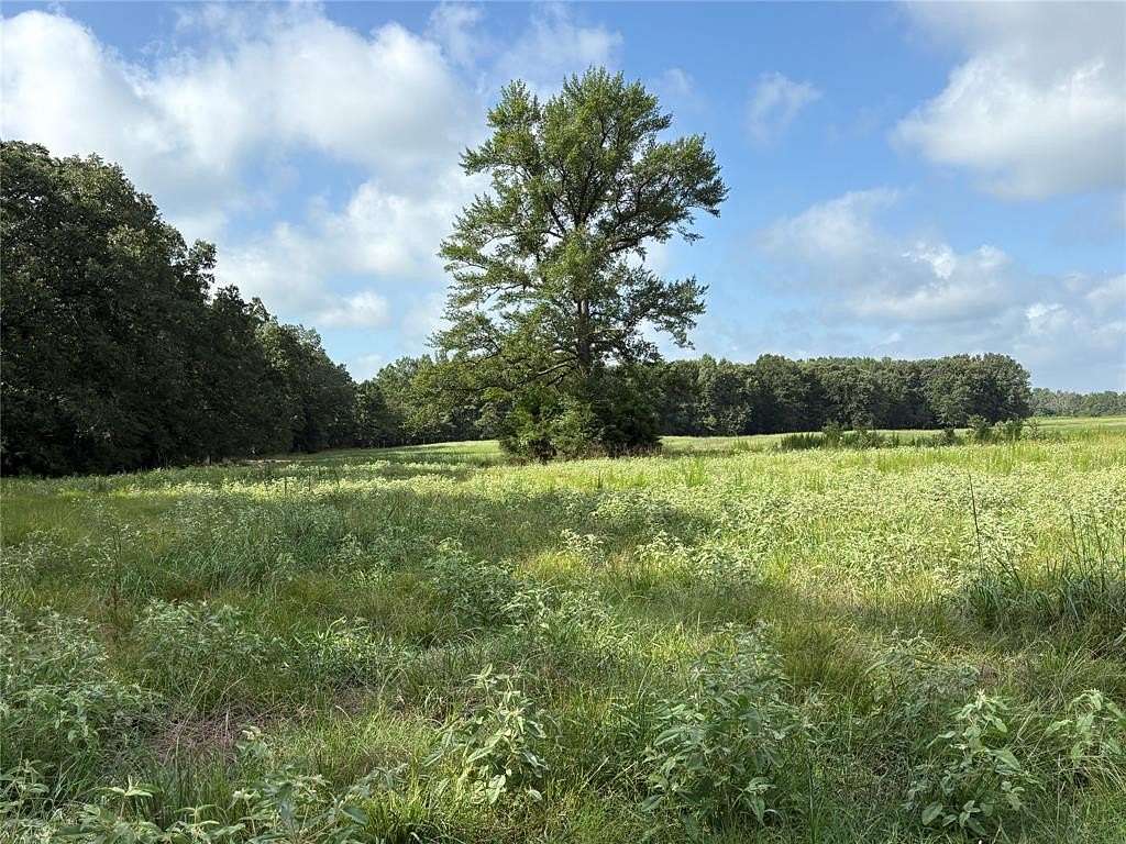 20 Acres of Agricultural Land for Sale in Talco, Texas