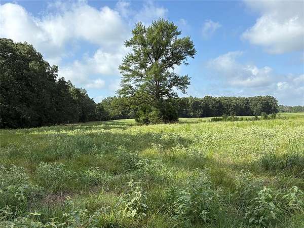20 Acres of Agricultural Land for Sale in Talco, Texas