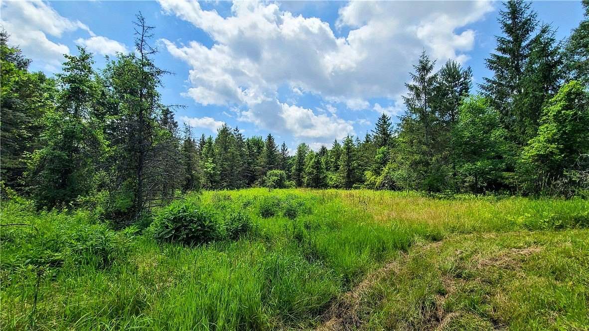 16.6 Acres of Land for Sale in Trumansburg, New York