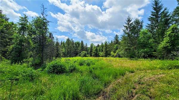 16.6 Acres of Land for Sale in Trumansburg, New York