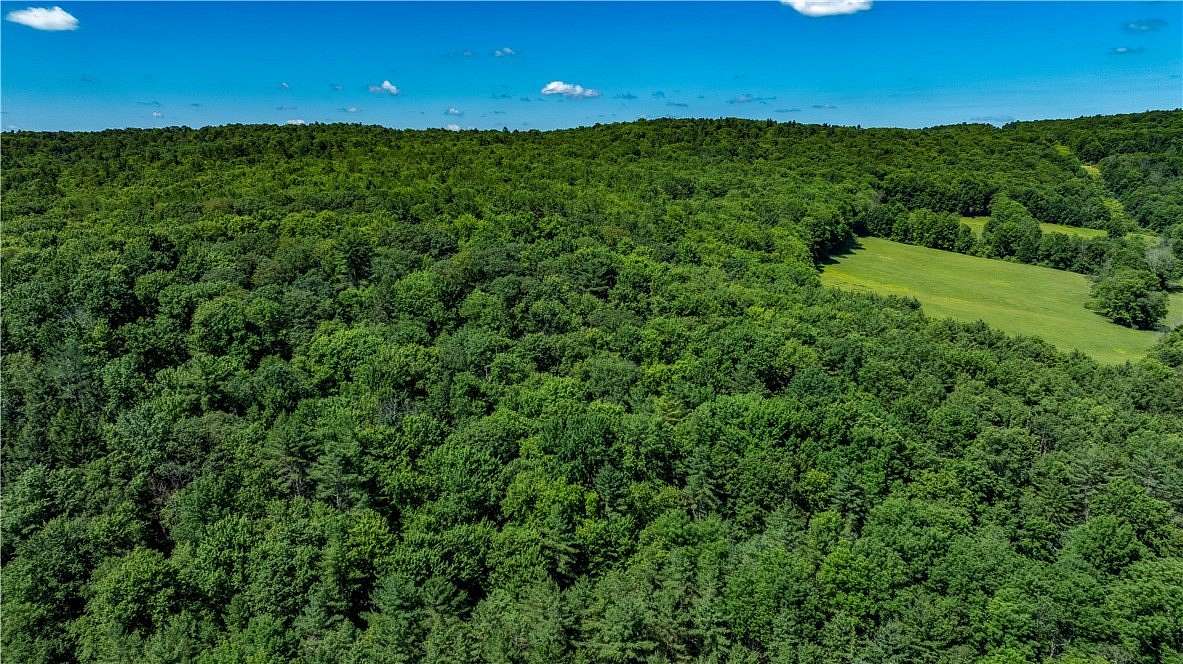 211 Acres of Recreational Land & Farm for Sale in Norwich, New York