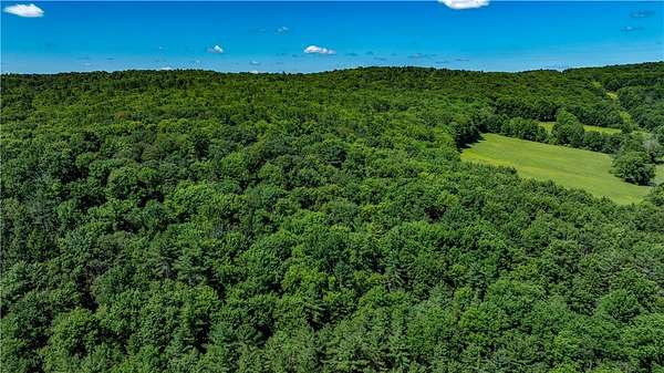 211 Acres of Recreational Land & Farm for Sale in Norwich, New York