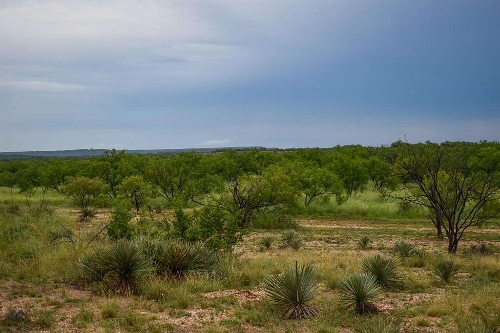 40 Acres of Recreational Land & Farm for Sale in Brady, Texas