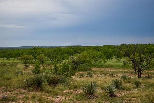 40 Acres of Recreational Land & Farm for Sale in Brady, Texas