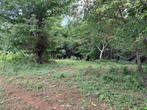 85 Acres of Land for Sale in Frankston - Frankston Tx 144814274
