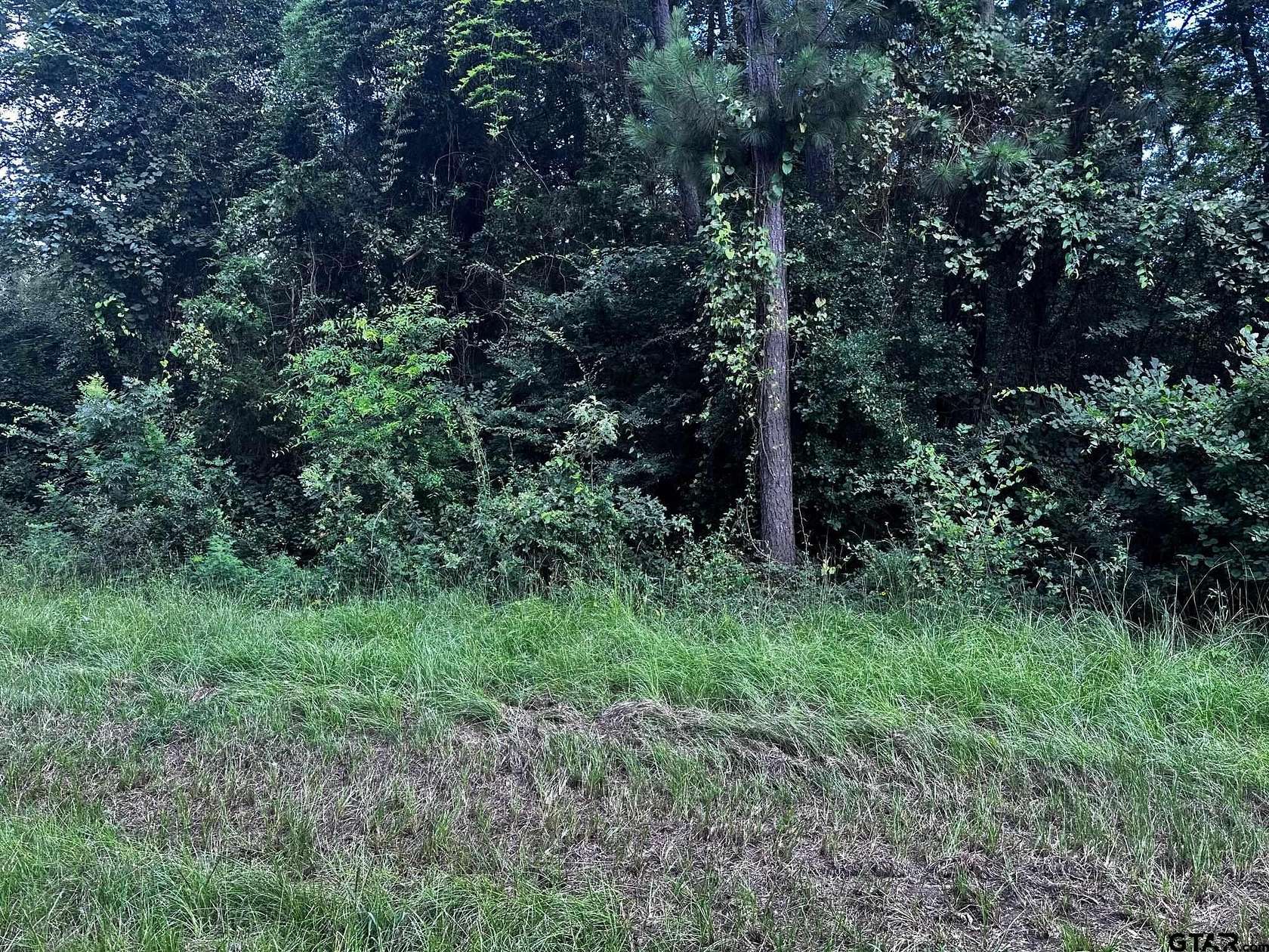 0.37 Acres of Residential Land for Sale in Bullard, Texas