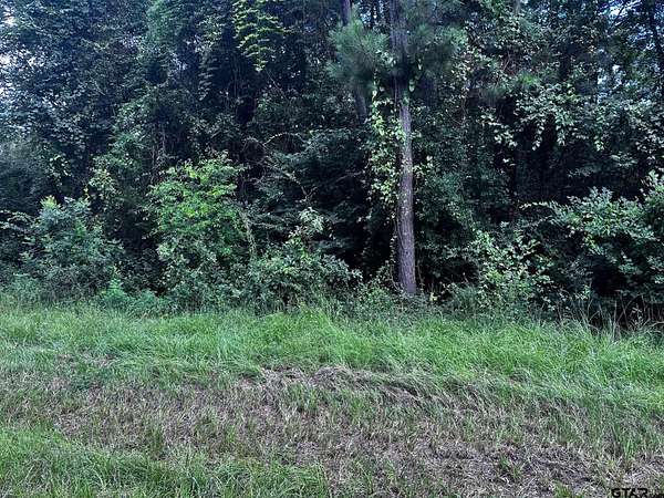 0.37 Acres of Residential Land for Sale in Bullard, Texas