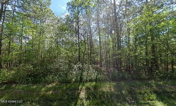 0.36 Acres of Residential Land for Sale in Bay St. Louis, Mississippi