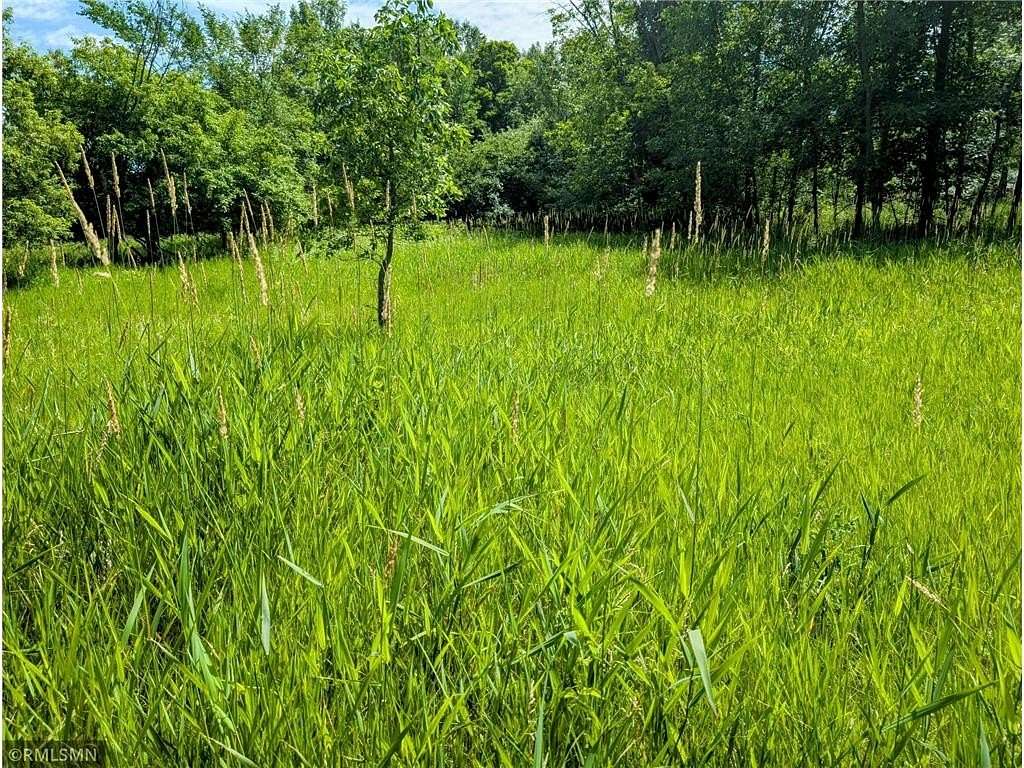 1.33 Acres of Residential Land for Sale in Long Prairie, Minnesota