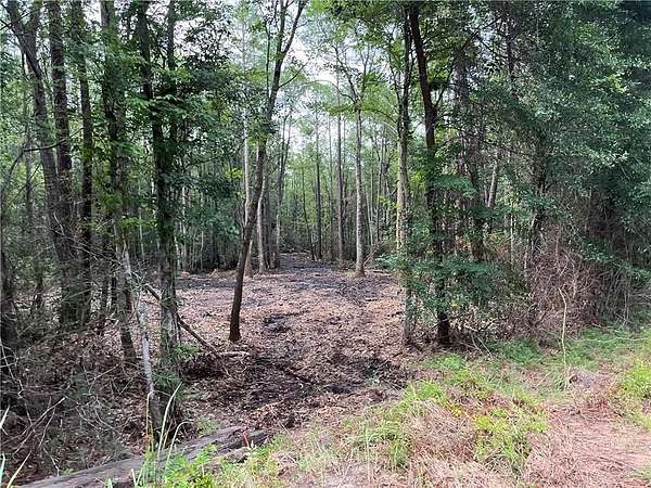 7.2 Acres of Residential Land for Sale in Theodore, Alabama
