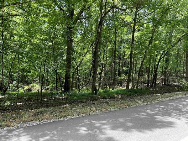 11.6 Acres of Land for Sale in Red Banks, Mississippi