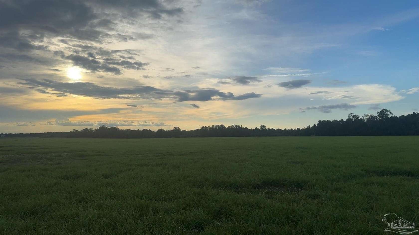 30 Acres of Land for Sale in Atmore, Alabama