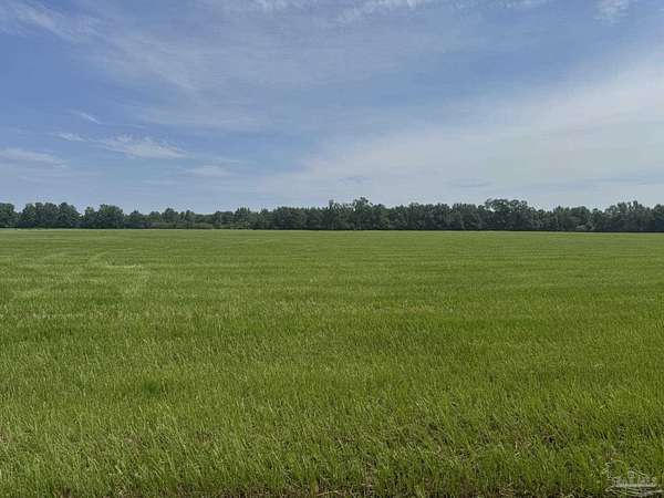 30 Acres of Land for Sale in Atmore, Alabama