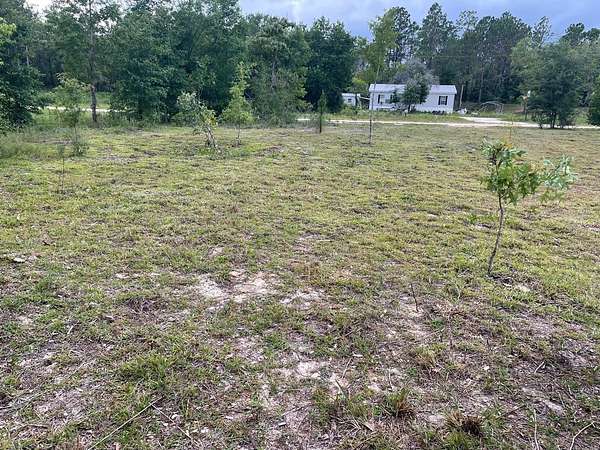 1 Acre of Land for Sale in Williston, Florida