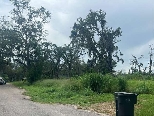0.17 Acres of Land for Sale in Thonotosassa, Florida