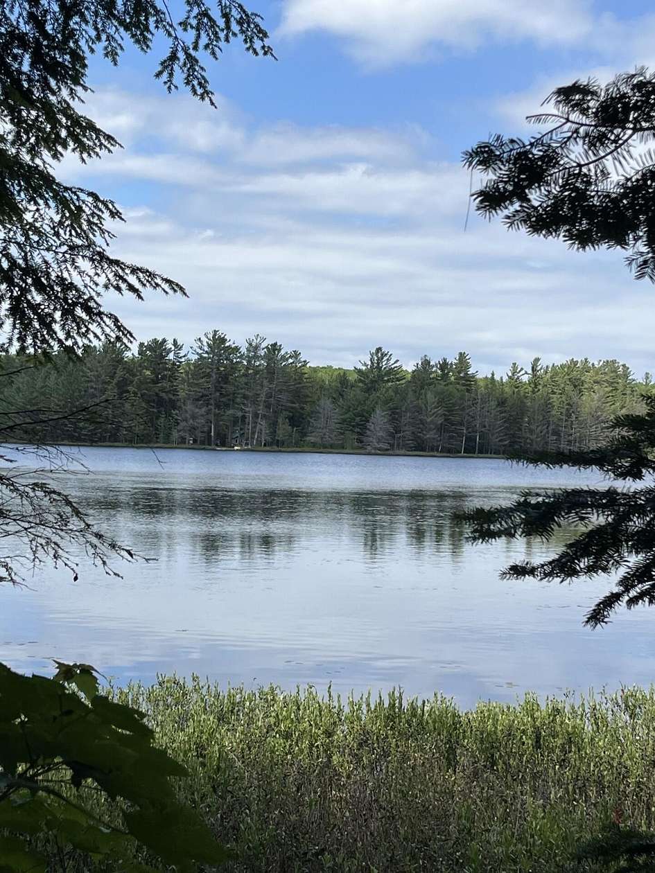17 Acres of Land for Sale in Newberry, Michigan
