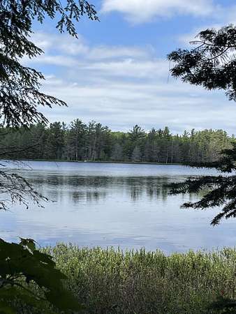 17 Acres of Land for Sale in Newberry, Michigan