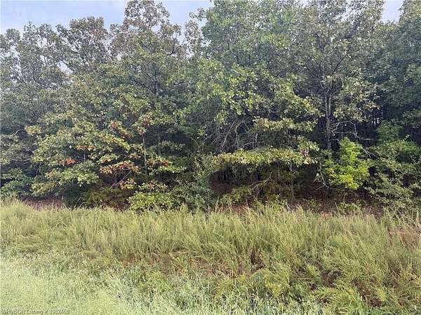 10 Acres of Land for Sale in Bunch, Oklahoma