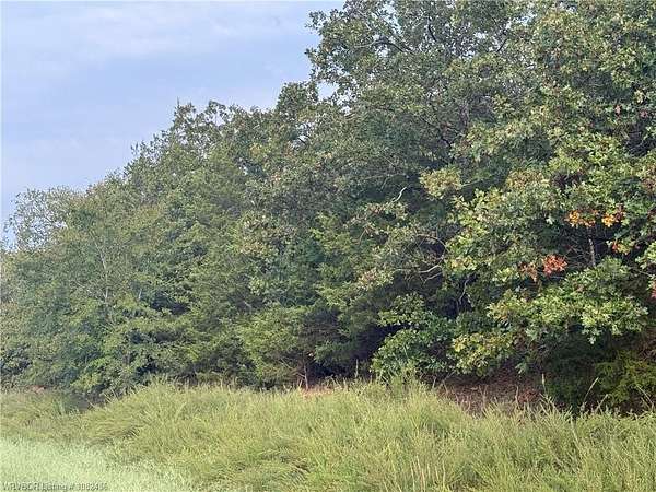10 Acres of Land for Sale in Moyers, Oklahoma